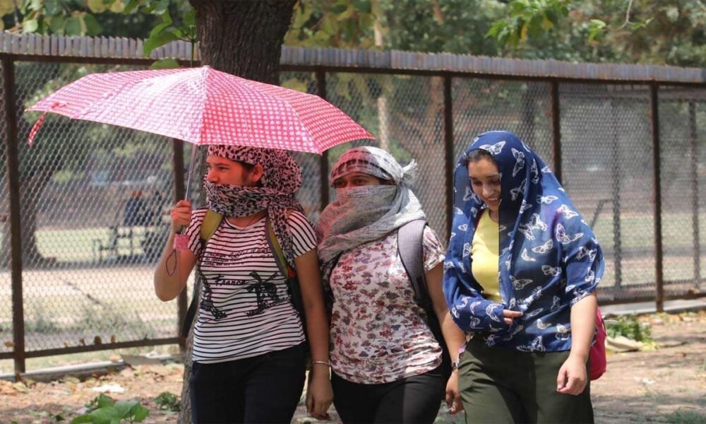 Heat Wave: There will be no respite from the scorching heat, red alert issued for these states