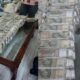 Odisha Raid: Cash worth crores found at Additional Sub-Collector's house