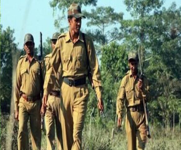 CG News: Salary discrepancy of forest guards removed in the state