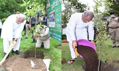 Hareli Tihar: CM appealed to plant at least one plant in every house, plants will be available free of cost