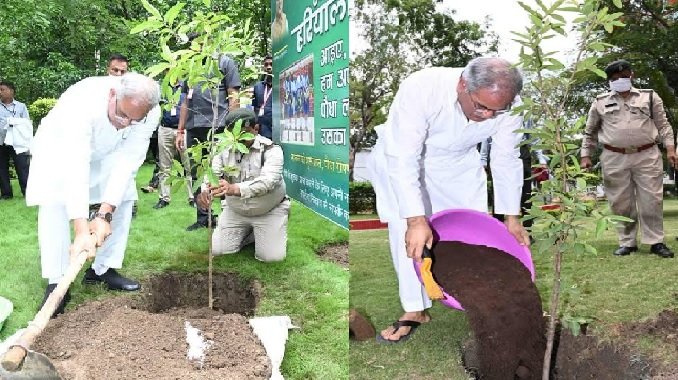 Hareli Tihar: CM appealed to plant at least one plant in every house, plants will be available free of cost