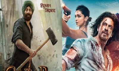 Gadar-2: Tara Singh's hammer on 'Pathan', Gadar-2 proved to be the biggest hit of the year