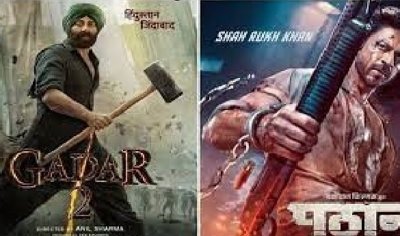 Gadar 2: Gadar 2 became the highest grossing film in the country, Tara's strike rate was better than Pathan