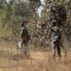 CG News: DRG soldiers got big success in Kanker, 2 Naxalites killed