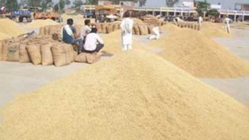 CG News: So far 82.44 lakh metric tonnes of paddy has been purchased in the state, more than Rs 17 thousand crore has been paid to the farmers