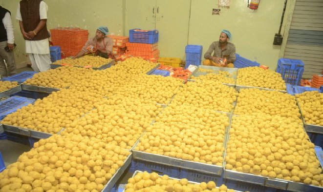 Ujjain: Ramlala will be offered laddus in the Pran Pratistha ceremony, 5 lakh laddus will be sent from Ujjain