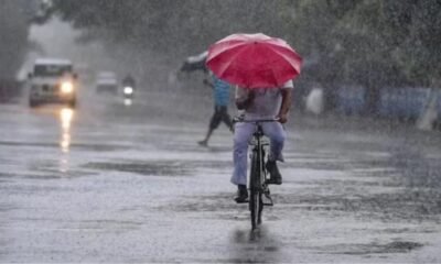 MP Weather: There may be rain in these districts of the state, there is a possibility of storm also