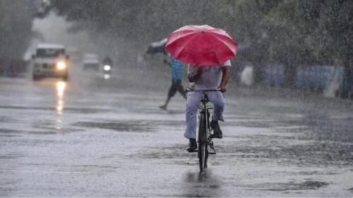 MP Weather: There may be rain in these districts of the state, there is a possibility of storm also