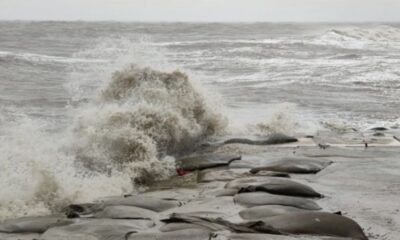 Cyclone Remal: Cyclonic storm 'Remal' will hit the coast of Bengal tonight, high alert issued in Bengal