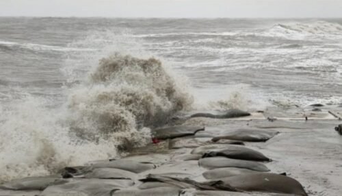 Cyclone Remal: Cyclonic storm 'Remal' will hit the coast of Bengal tonight, high alert issued in Bengal