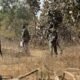 Chhattisgarh: Security forces killed 7 Naxalites, encounter took place on Narayanpur-Dantewada border