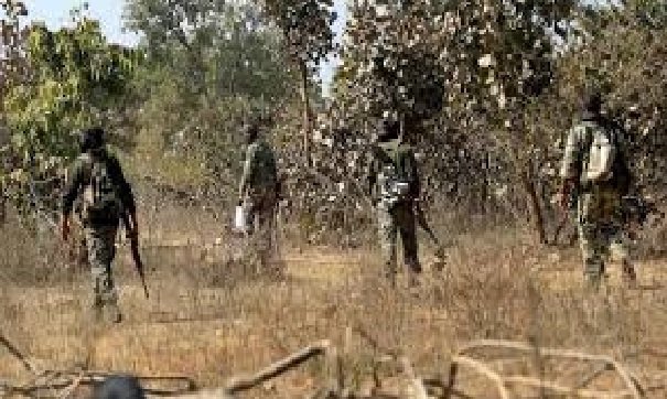 Chhattisgarh: Security forces killed 7 Naxalites, encounter took place on Narayanpur-Dantewada border