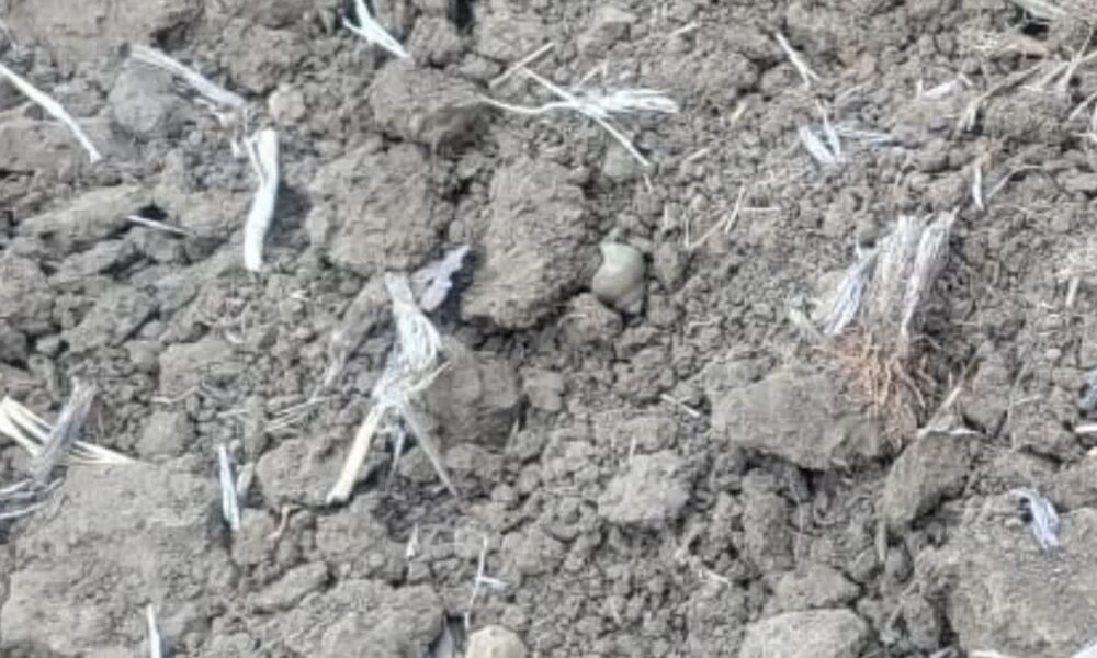 Chhattisgarh: Farmer was plowing the field, suddenly the ground spewed something like this, sensation spread