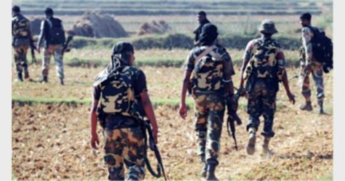 Naxal: 12 Naxalites killed in encounter with C60 commandos on Maharashtra border, encounter took place in Gadchiroli district