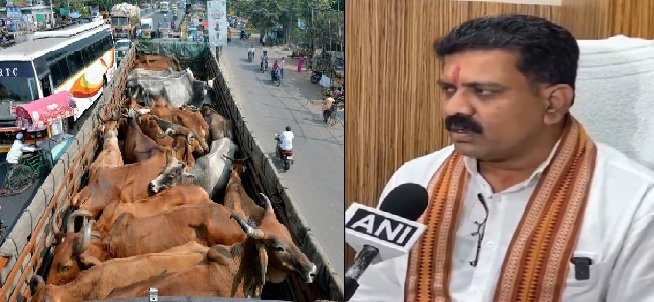 Chhattisgarh: License will have to be taken for transporting cattle in Chhattisgarh, 7 years punishment for illegal transportation, new rule issued