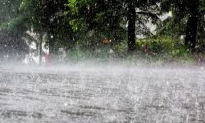 Chhattisgarh Rainfall: 330.3 mm average rainfall recorded so far in Chhattisgarh, lowest rainfall in this district