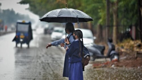 Chhattisgarh: 248.5 mm rainfall so far in Chhattisgarh. Average rainfall recorded, highest in Bijapur district, lowest in Surguja