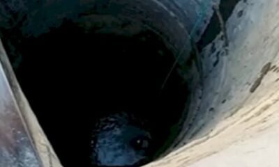 MP News: Uncle and nephew died while installing pump in the well, two cousins ​​also died due to poisonous gas