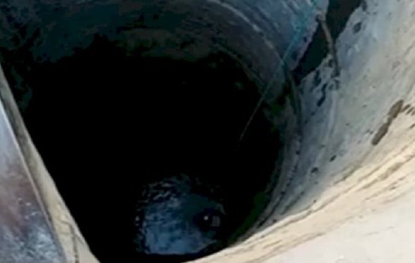 MP News: Uncle and nephew died while installing pump in the well, two cousins ​​also died due to poisonous gas