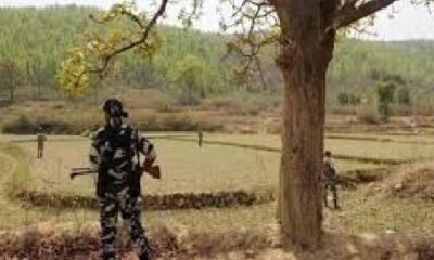 Chhattisgarh: Families of Naxal victim families will get compassionate appointment, on the initiative of the Chief Minister
