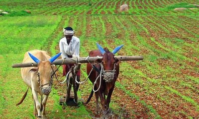 Chhattisgarh: Farmers will now be able to get crop insurance till 16th August, Central Government agreed to the proposal of Chhattisgarh Government