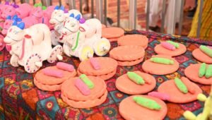 Chhattisgarh: Chief Minister's residence decorated for Teeja-Pora Tihar, Vishnu Bhaiya will give gifts to 70 lakh sisters