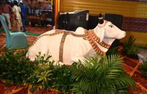 Chhattisgarh: Chief Minister's residence decorated for Teeja-Pora Tihar, Vishnu Bhaiya will give gifts to 70 lakh sisters