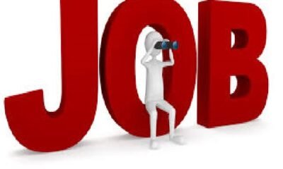 Chhattisgarh Jobs: Golden opportunity to get a government job, recruitment in three departments