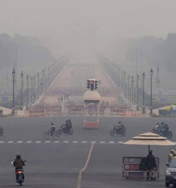 Delhi-NCR Pollution: Due to pollution, half lockdown situation in Delhi-NCR, 50 percent government employees will work from home