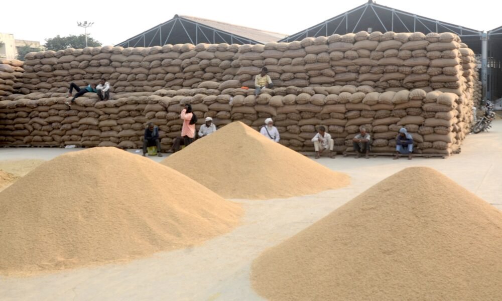 Chhattisgarh: Paddy procurement for the current Kharif marketing year from November 14, strict monitoring will be kept on illegal paddy transportation