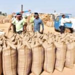 Chhattisgarh: 29.22 lakh metric tonnes of paddy purchased in the state, till now 6.15 lakh farmers have sold their paddy