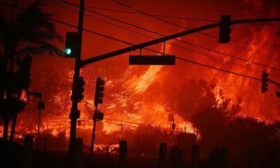 California fire: 10 killed in forest fire in Los Angeles, 28 thousand acres of area destroyed, 10 thousand buildings also burnt