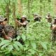 Naxal Encounter: Encounter between security forces and Naxalites on Sukma-Bijapur border, 3 Naxalites killed