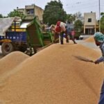 Chhattisgarh: Record purchase of more than 149 lakh metric tonnes of paddy in the state, procurement will continue till late night on the last day today