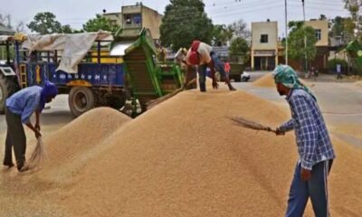 Chhattisgarh: Record purchase of more than 149 lakh metric tonnes of paddy in the state, procurement will continue till late night on the last day today