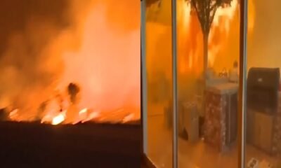 Los Angeles: Forest fire reaches homes in Los Angeles, America, emergency imposed