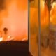 Los Angeles: Forest fire reaches homes in Los Angeles, America, emergency imposed