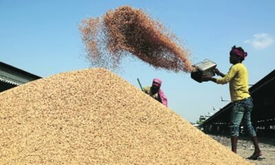 Chhattisgarh: New record in paddy procurement made in Chhattisgarh, 149.25 lakh metric tonnes of paddy purchased