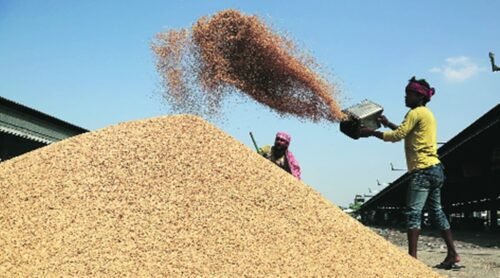 Chhattisgarh: New record in paddy procurement made in Chhattisgarh, 149.25 lakh metric tonnes of paddy purchased