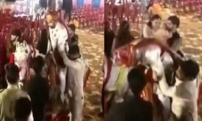 MP News: Groom riding a mare dies of heart attack in Sheopur, happiness of marriage turns into mourning