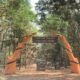 Chhattisgarh: Kanger Valley National Park is in the race for World Heritage, UNESCO includes it in the tentative list