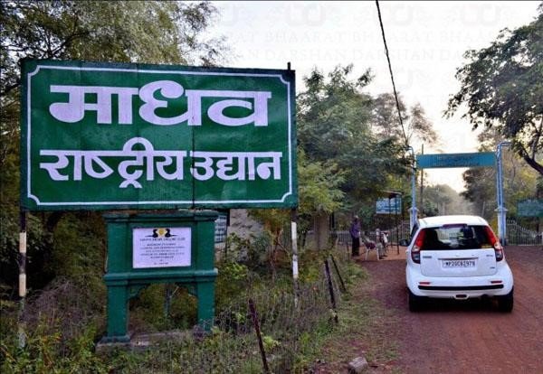 MP News: Madhav National Park becomes the 9th Tiger Reserve of Madhya Pradesh, order issued