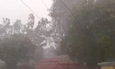 MP Weather: Hailstorm accompanied with rain occurred in many districts of Madhya Pradesh, weather may remain the same for the next three days