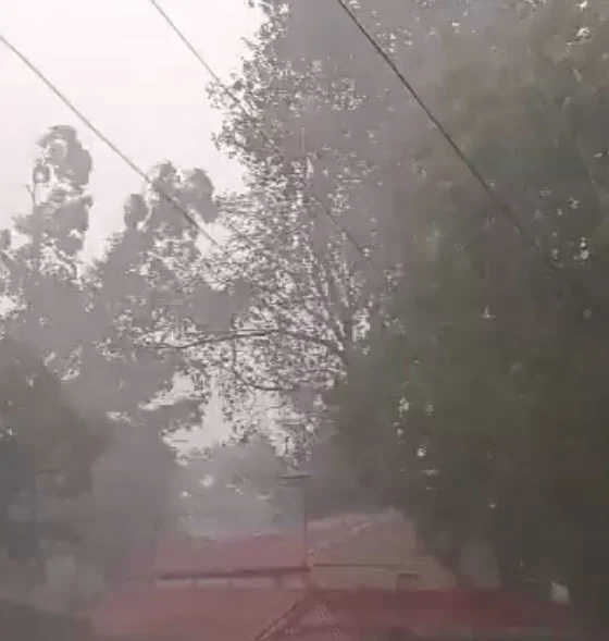 MP Weather: Hailstorm accompanied with rain occurred in many districts of Madhya Pradesh, weather may remain the same for the next three days