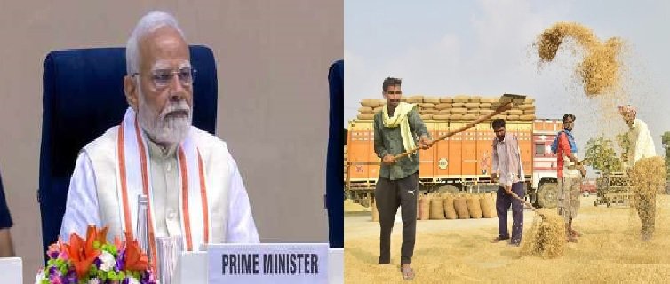 Chhattisgarh: Big decision of the central government, estimate of paddy purchase increased from 70 to 78 lakh metric tonnes