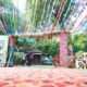 Hareli Tihar 2025: A glimpse of Chhattisgarhi traditions, cultural splendor scattered with traditional agricultural equipment