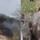 Fighter Plane Crashed: IAF's Jaguar fighter plane crashes in Churu, Rajasthan, one body also found