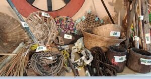 Hareli Tihar 2025: A glimpse of Chhattisgarhi traditions, cultural splendor scattered with traditional agricultural equipment