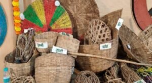 Hareli Tihar 2025: A glimpse of Chhattisgarhi traditions, cultural splendor scattered with traditional agricultural equipment