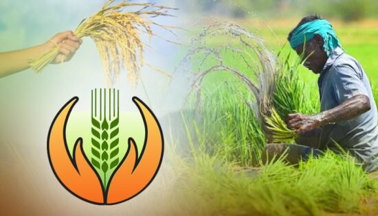 Chhattisgarh: ₹152.84 crore paid to 1.41 lakh farmers of Chhattisgarh under PM Crop Insurance Scheme